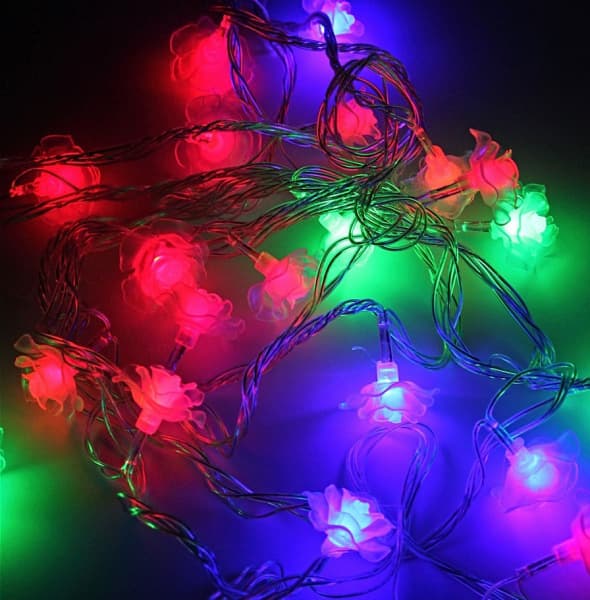 Seasonal · OL-13571