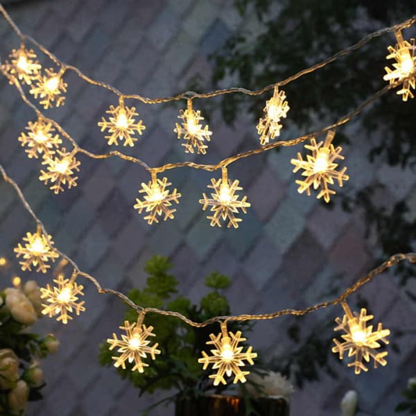Seasonal · OL-13575