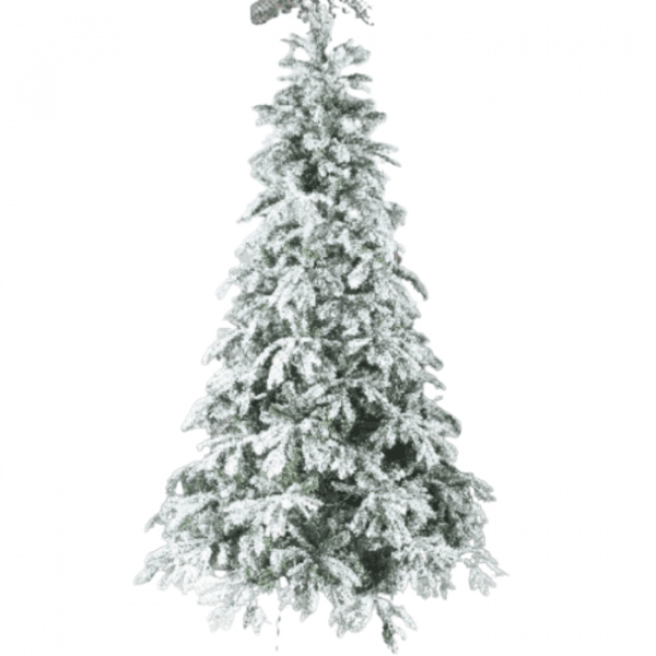 Seasonal · OL-15155