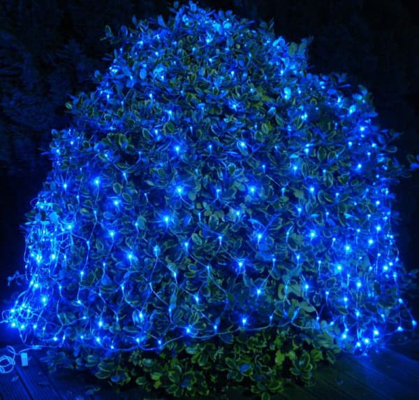 Seasonal · OL-7808