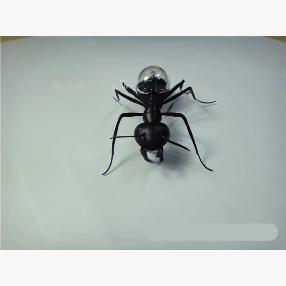 Modelo de hormiga solar