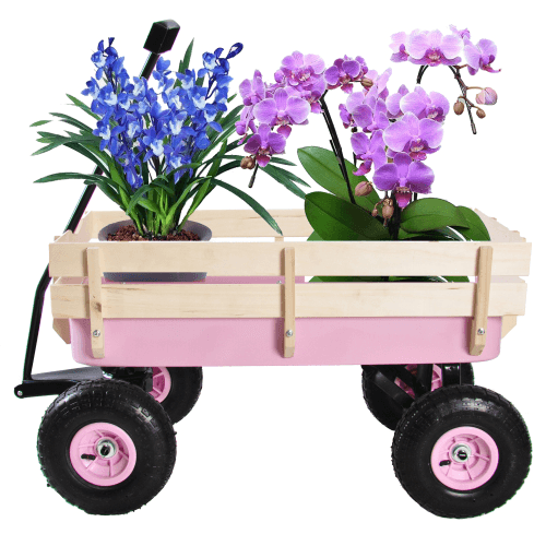 Accesorio de jardín · CJYL2266874