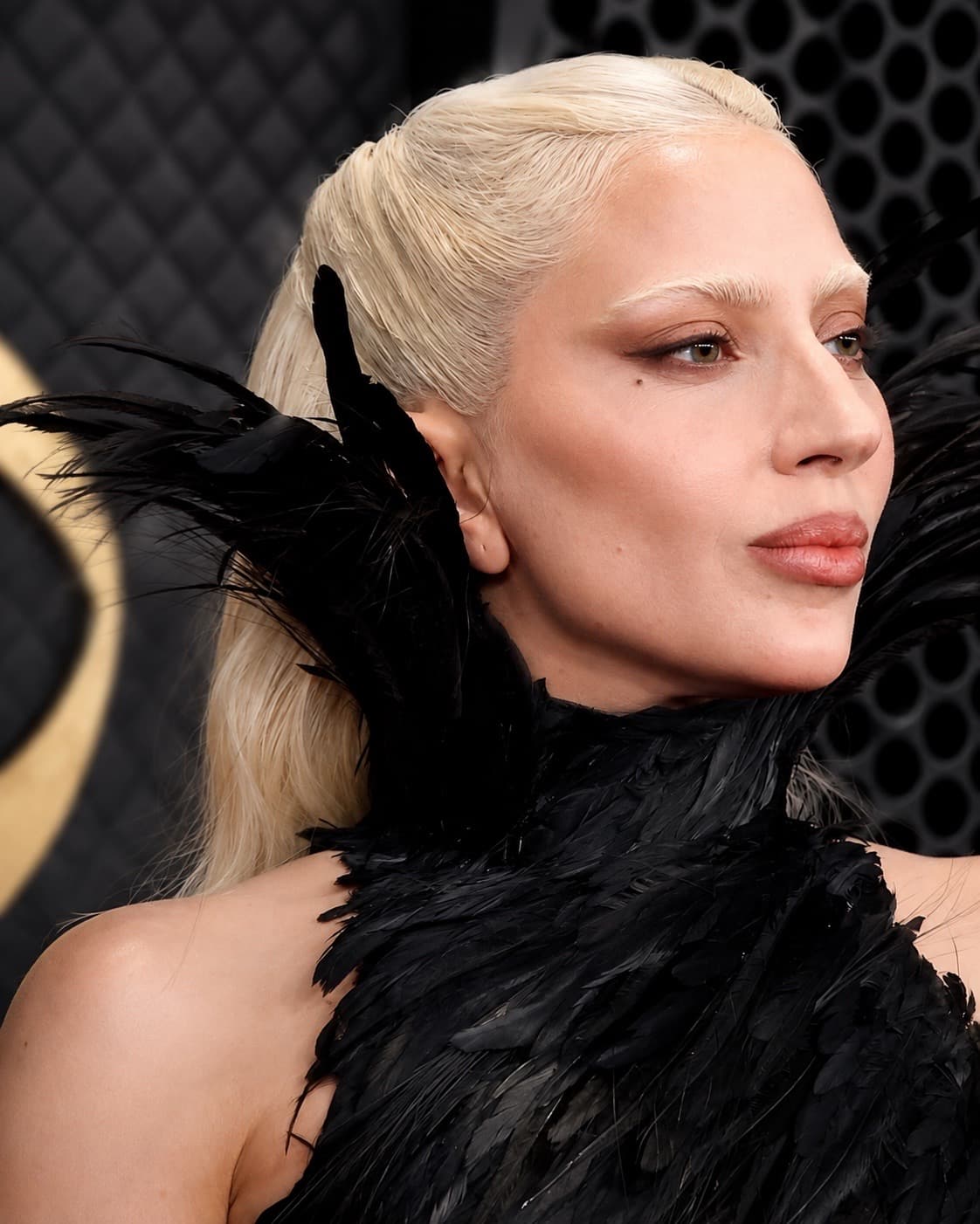 Ilustración editorial de VJOURNAL que representa a Lady Gaga